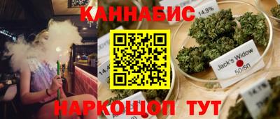 шишки Беслан