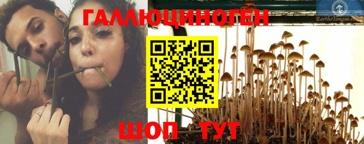 Кириши  Галлюциногенные грибы GOLDEN TEACHER  Вход с VPN  Псилоцибиновые грибы Magic Shrooms 