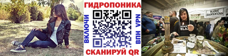 Каннабис сатива  Кириши 
